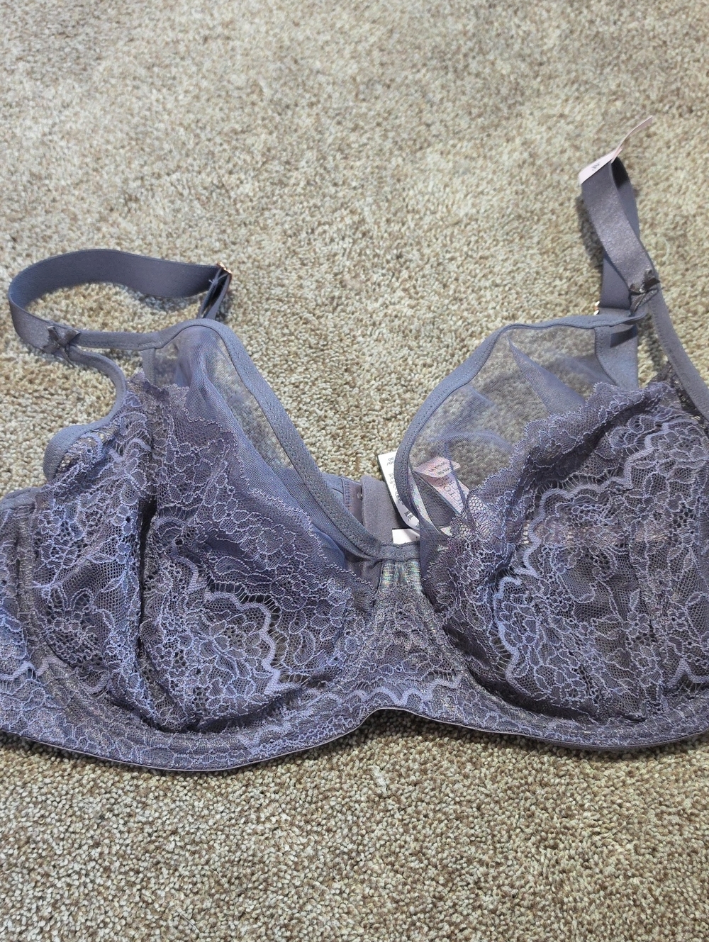 Nwt Victoria's Secret Lace Underwire Bra - Lavender Sheer Dream Angels 40dd